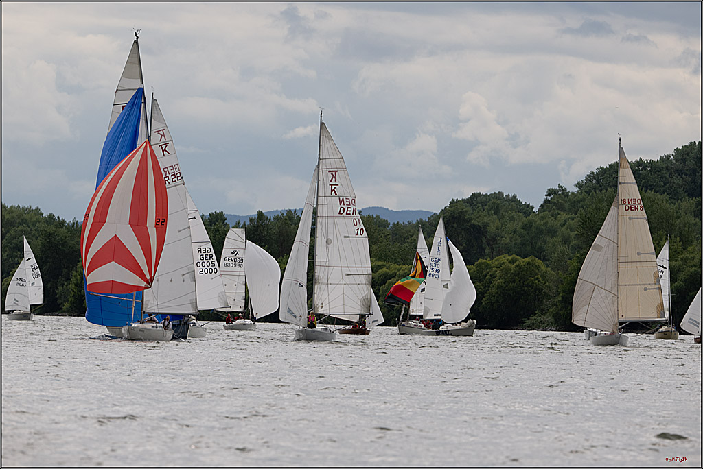 Rheinwoche 2025 1. Regattatag, 07.06.2025