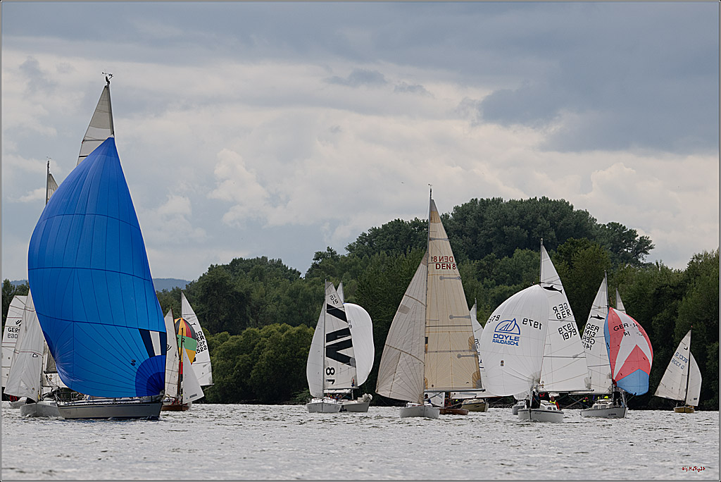 Rheinwoche 2025 1. Regattatag, 07.06.2025