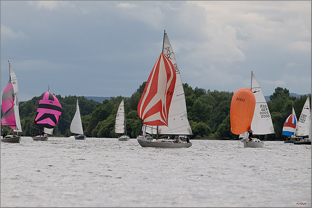 Rheinwoche 2025 1. Regattatag, 07.06.2025