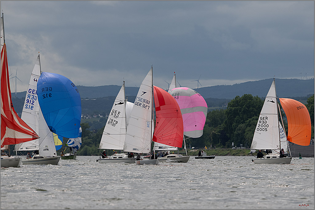 Rheinwoche 2025 1. Regattatag, 07.06.2025
