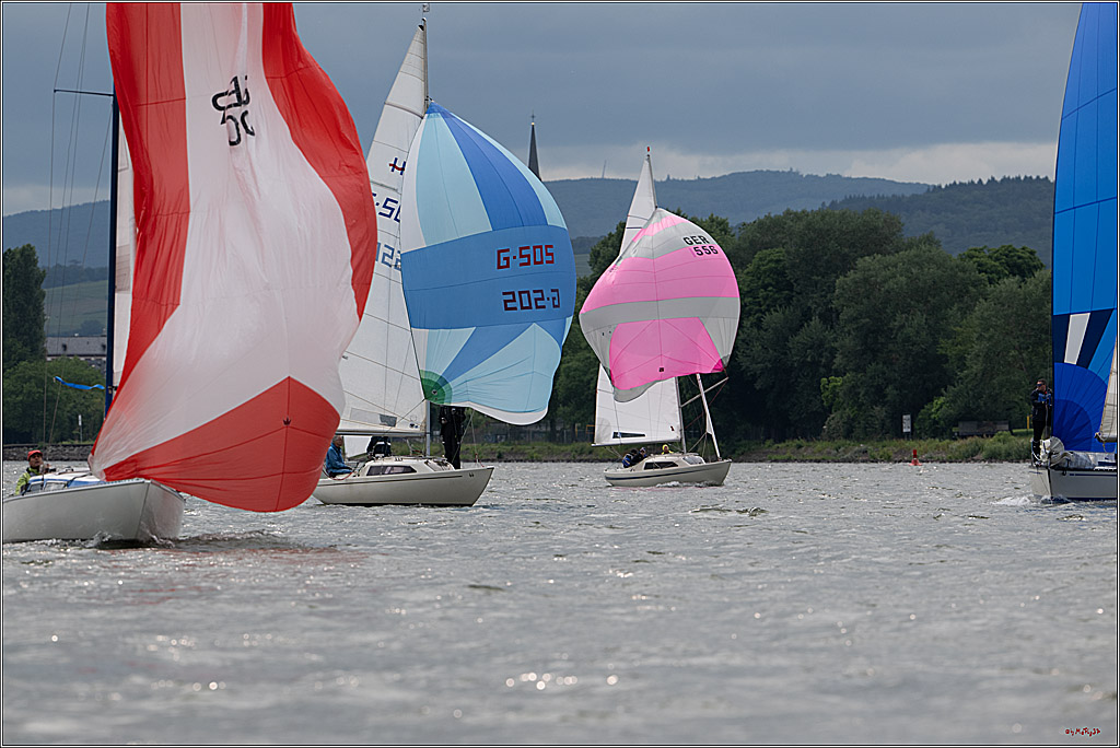 Rheinwoche 2025 1. Regattatag, 07.06.2025