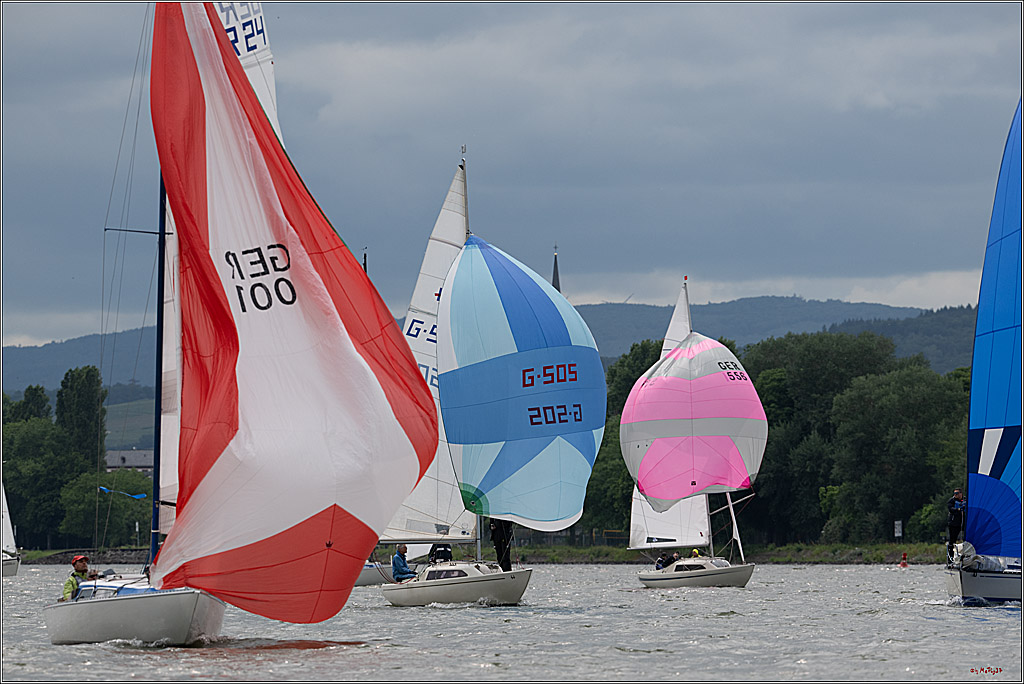 Rheinwoche 2025 1. Regattatag, 07.06.2025
