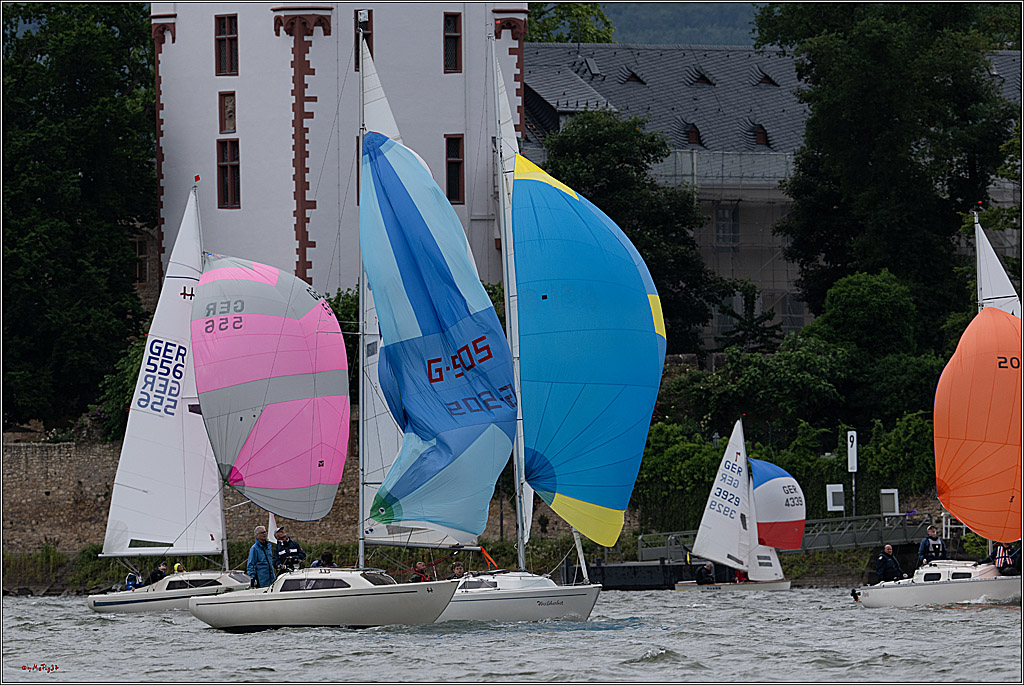 Rheinwoche 2025 1. Regattatag, 07.06.2025