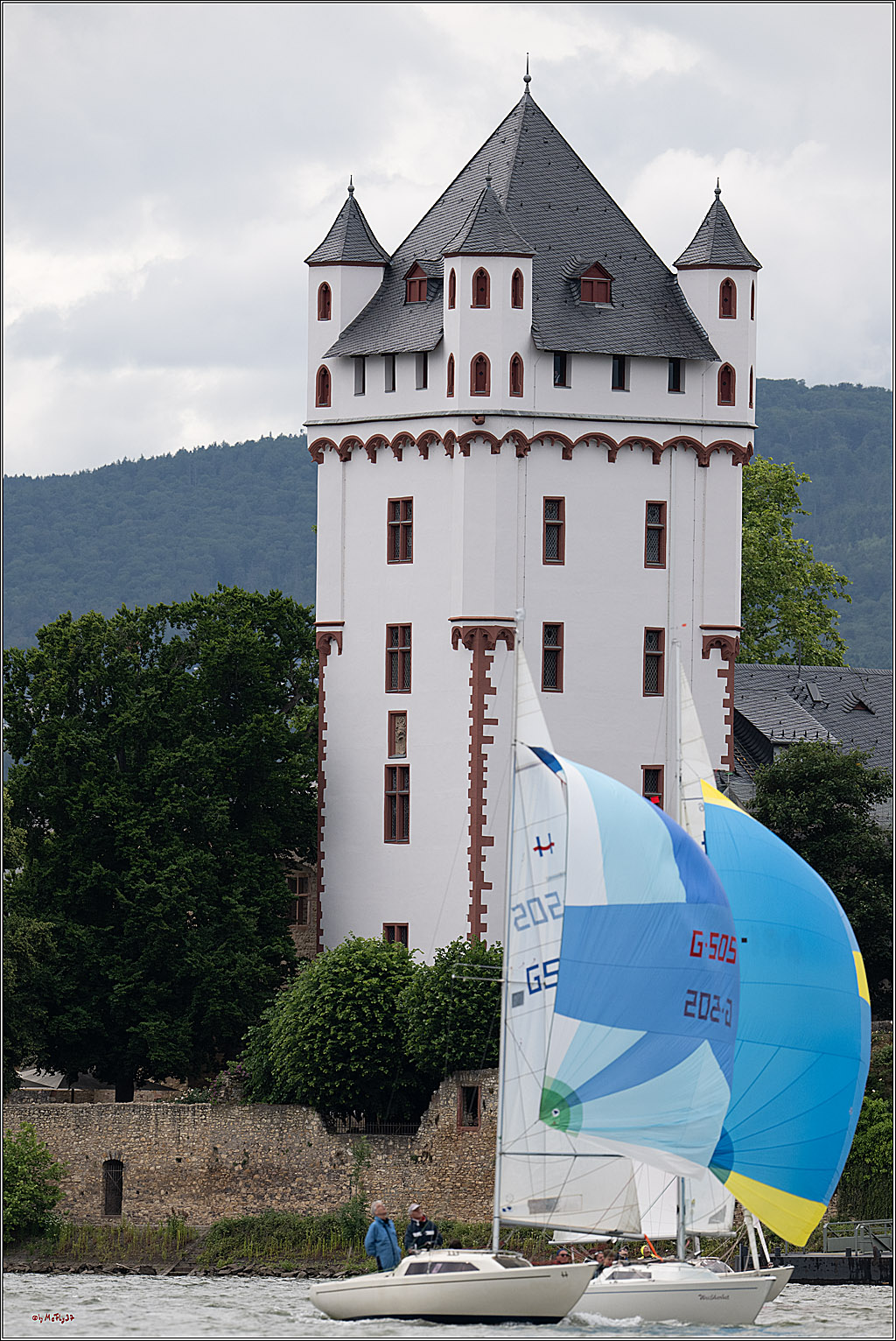 Rheinwoche 2025 1. Regattatag, 07.06.2025