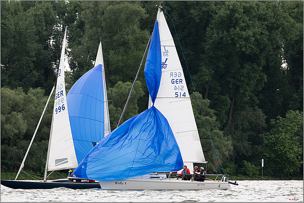 Rheinwoche 2025 1. Regattatag, 07.06.2025