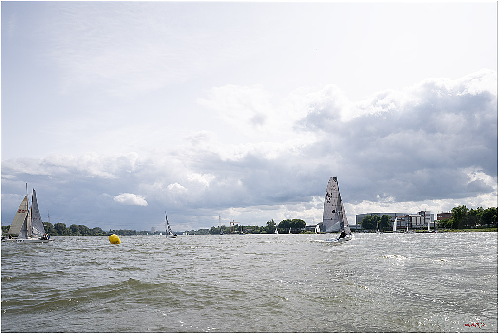 Rheinwoche 2025 1. Regattatag, 07.06.2025