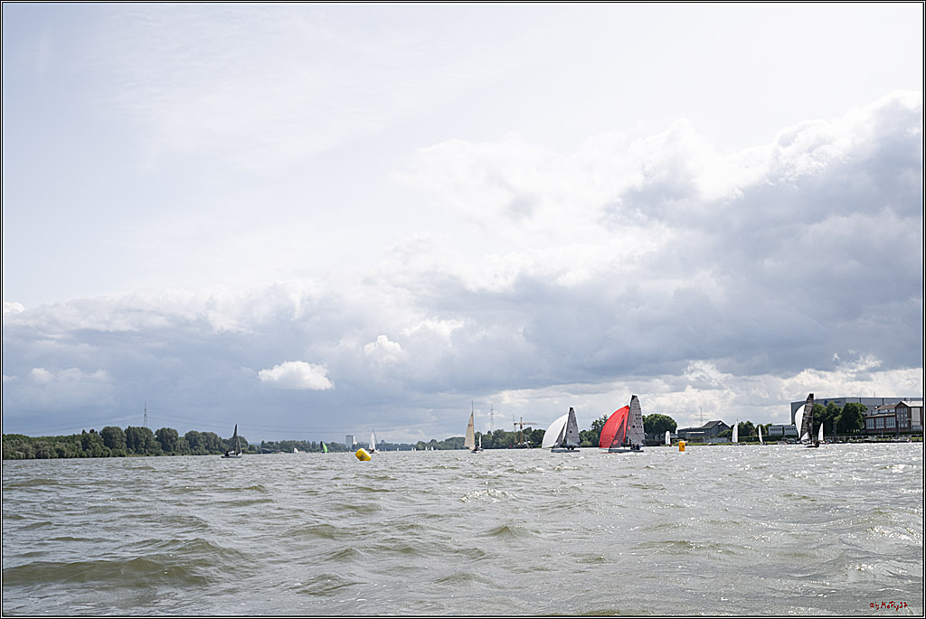 Rheinwoche 2025 1. Regattatag, 07.06.2025