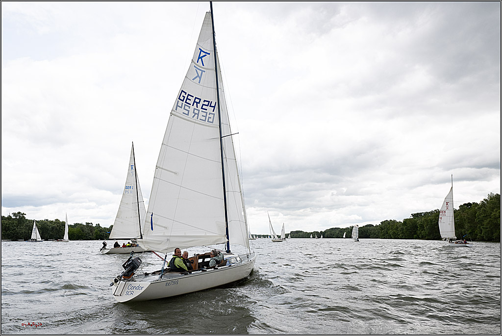 Rheinwoche 2025 1. Regattatag, 07.06.2025