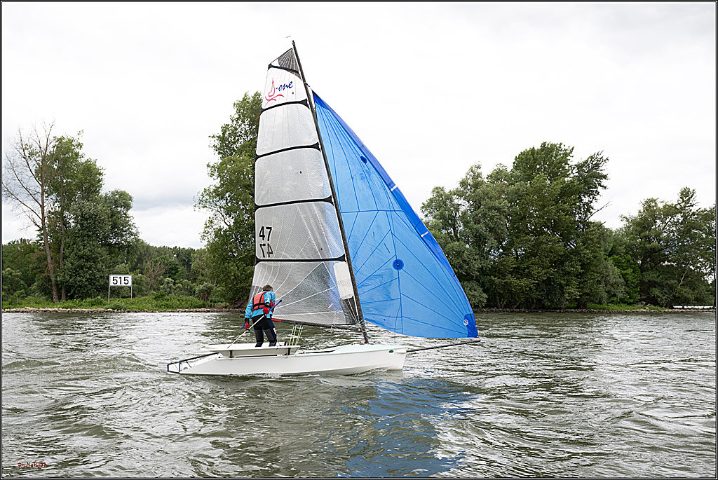 Rheinwoche 2025 1. Regattatag, 07.06.2025