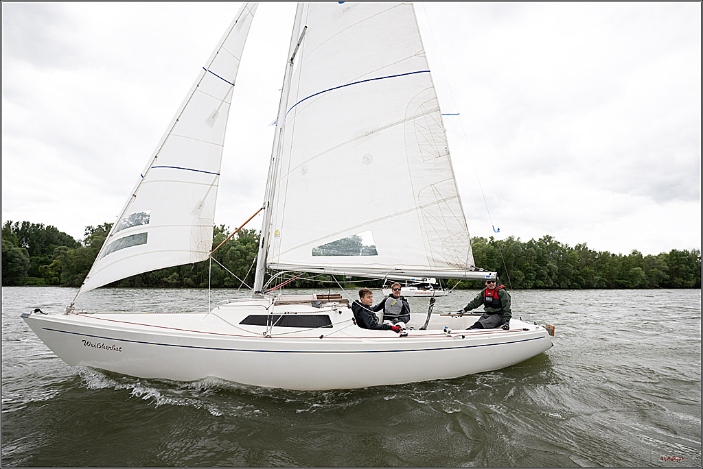 Rheinwoche 2025 1. Regattatag, 07.06.2025