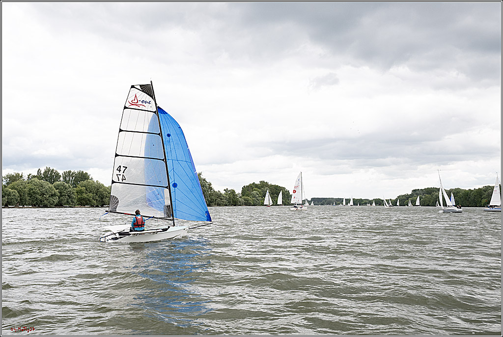 Rheinwoche 2025 1. Regattatag, 07.06.2025