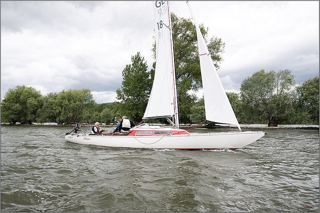 Rheinwoche 2025 1. Regattatag, 07.06.2025