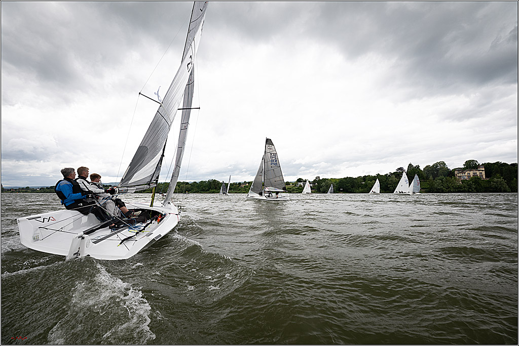 Rheinwoche 2025 1. Regattatag, 07.06.2025