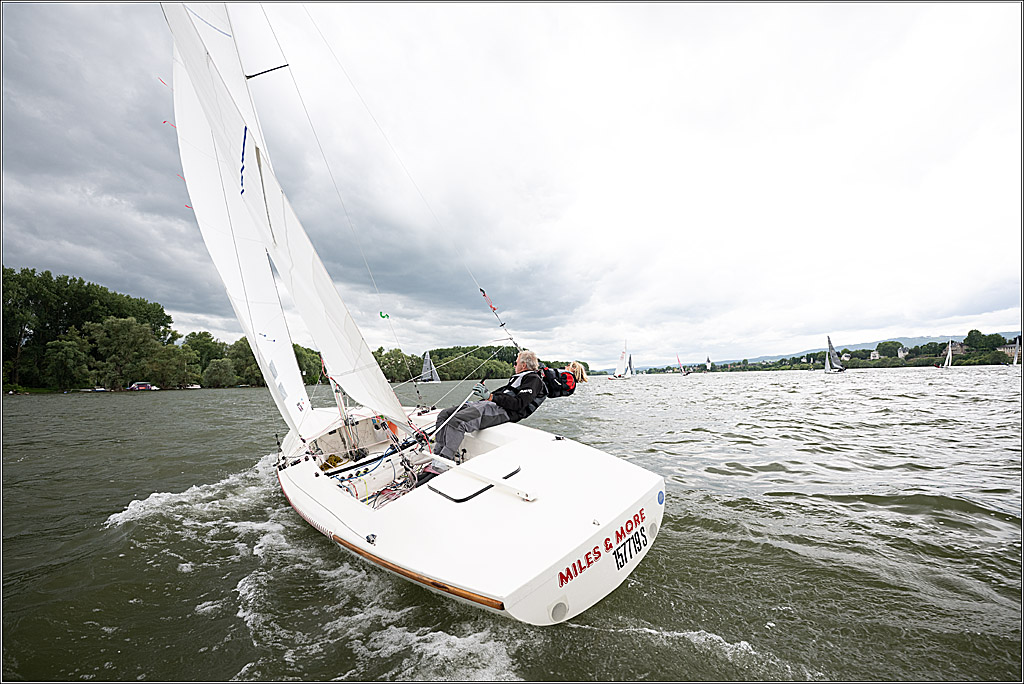 Rheinwoche 2025 1. Regattatag, 07.06.2025