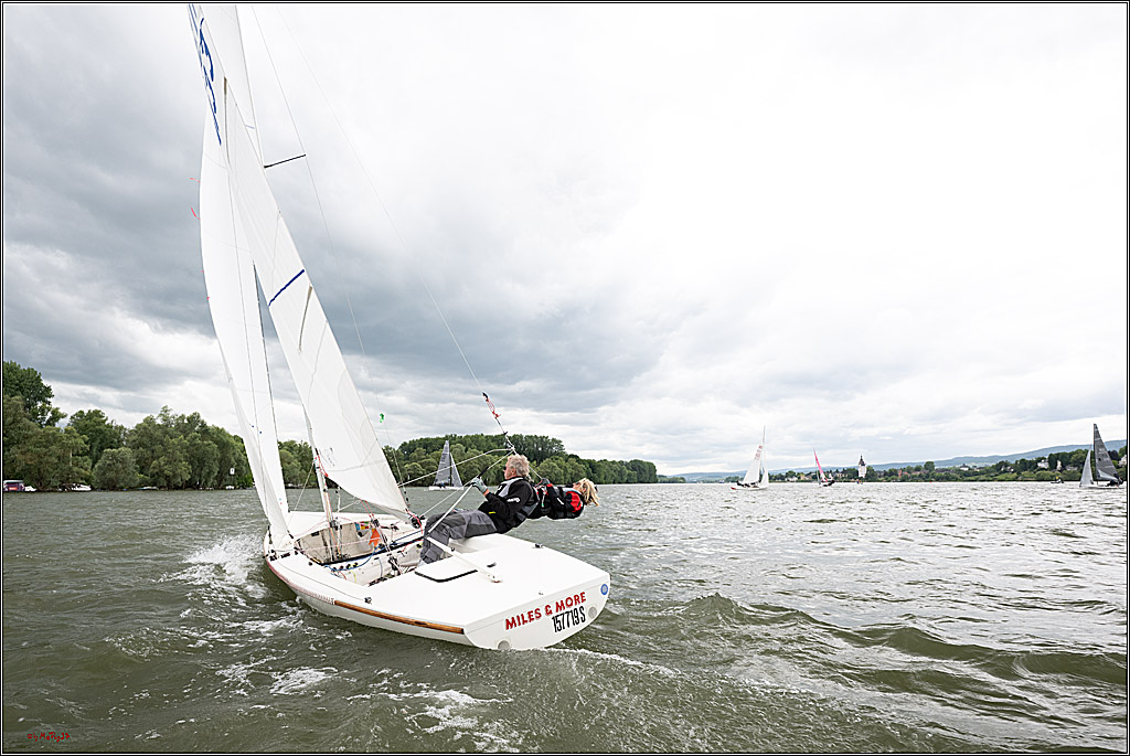 Rheinwoche 2025 1. Regattatag, 07.06.2025