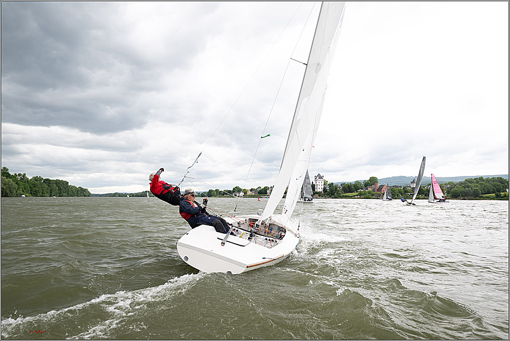 Rheinwoche 2025 1. Regattatag, 07.06.2025