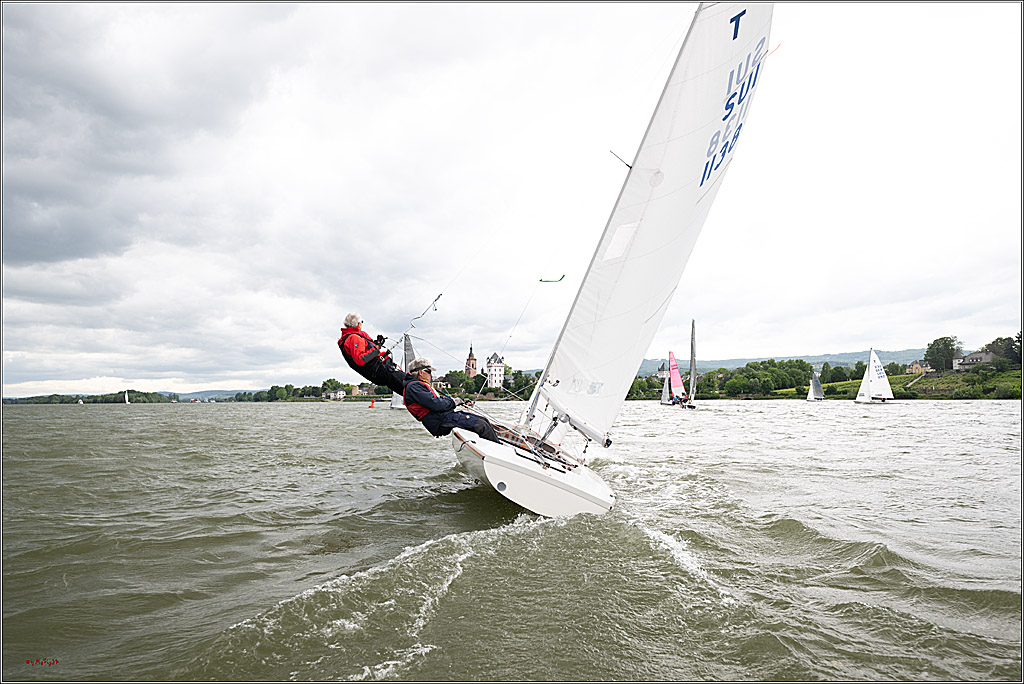 Rheinwoche 2025 1. Regattatag, 07.06.2025