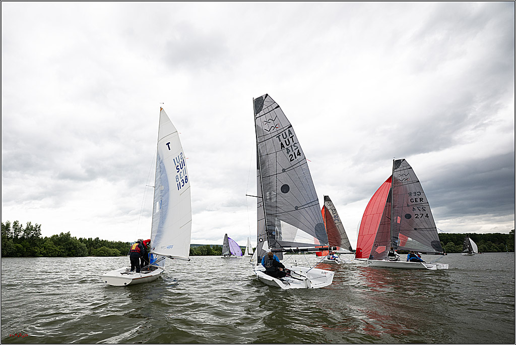 Rheinwoche 2025 1. Regattatag, 07.06.2025