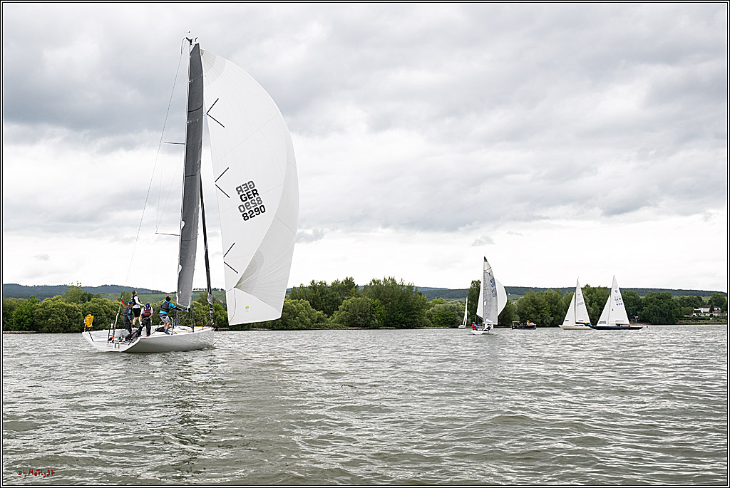 Rheinwoche 2025 1. Regattatag, 07.06.2025
