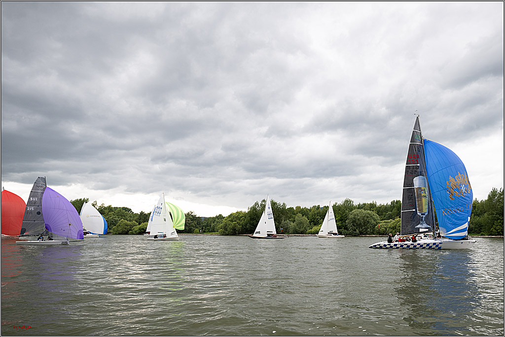 Rheinwoche 2025 1. Regattatag, 07.06.2025