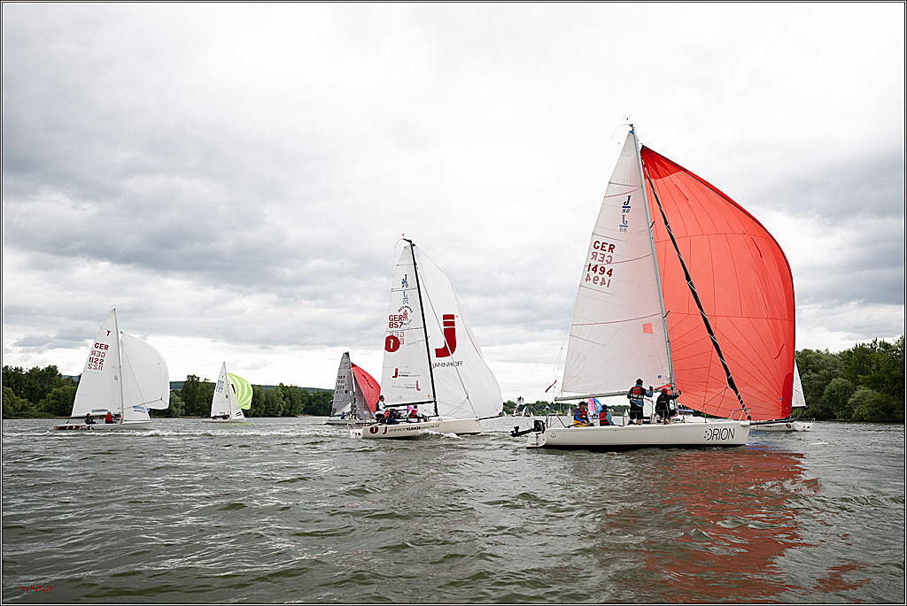 Rheinwoche 2025 1. Regattatag, 07.06.2025