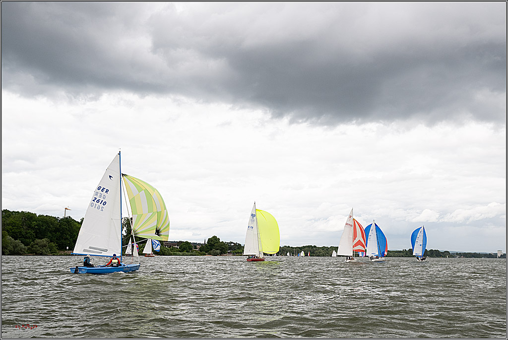 Rheinwoche 2025 1. Regattatag, 07.06.2025