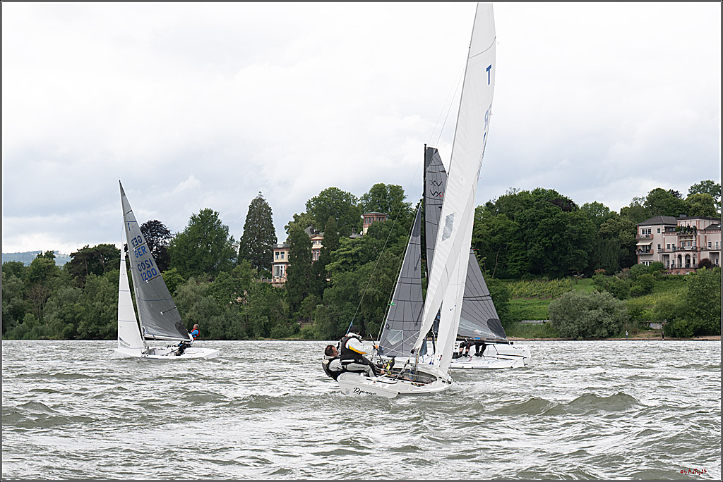 Rheinwoche 2025 1. Regattatag, 07.06.2025
