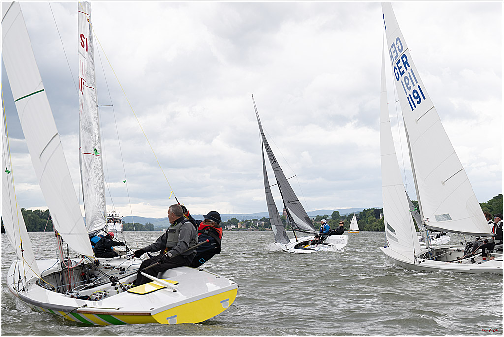 Rheinwoche 2025 1. Regattatag, 07.06.2025