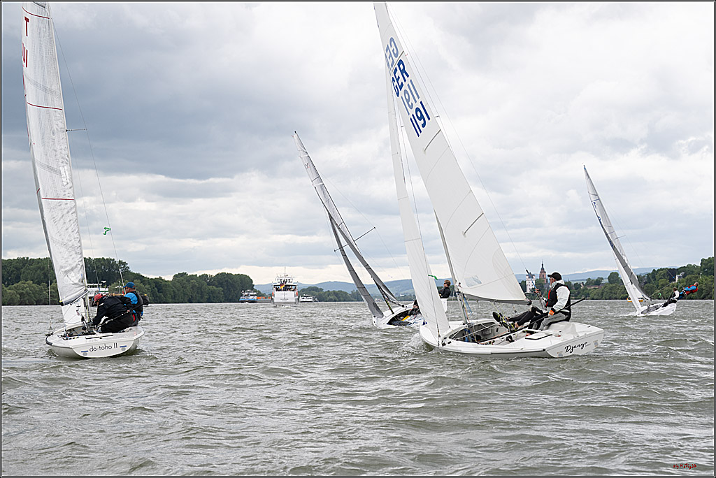 Rheinwoche 2025 1. Regattatag, 07.06.2025
