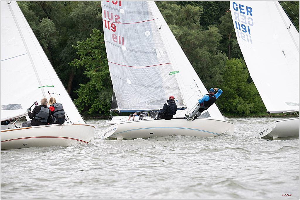 Rheinwoche 2025 1. Regattatag, 07.06.2025