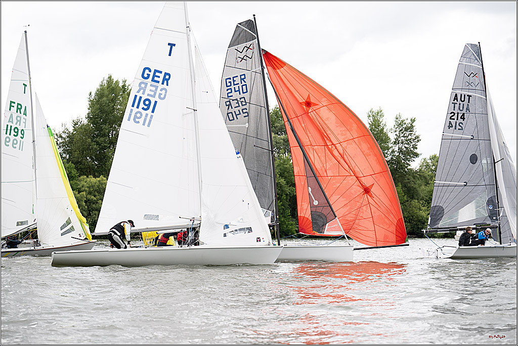Rheinwoche 2025 1. Regattatag, 07.06.2025