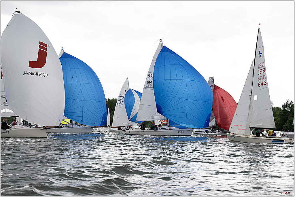 Rheinwoche 2025 1. Regattatag, 07.06.2025