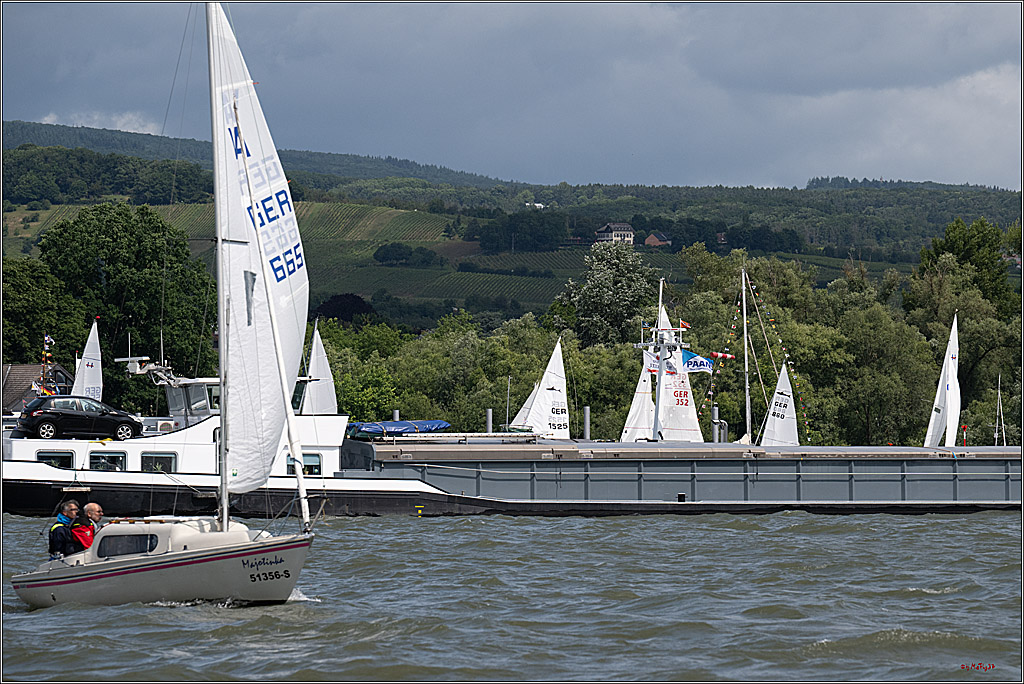 Rheinwoche 2025 1. Regattatag, 07.06.2025