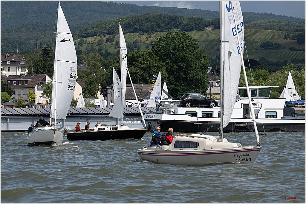 Rheinwoche 2025 1. Regattatag, 07.06.2025