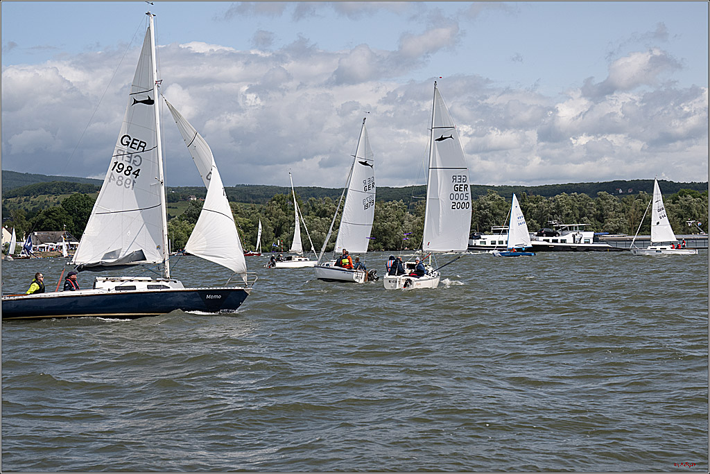 Rheinwoche 2025 1. Regattatag, 07.06.2025