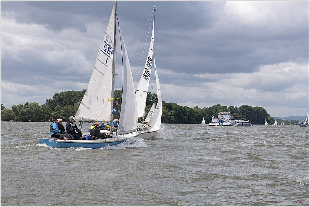 Rheinwoche 2025 1. Regattatag, 07.06.2025