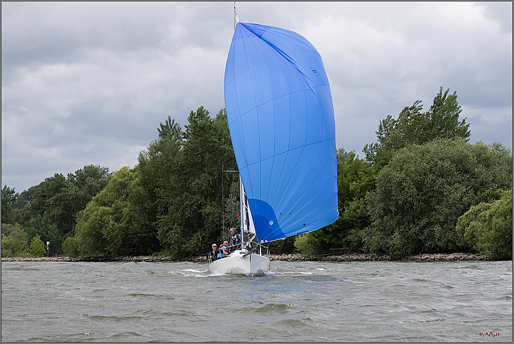 Rheinwoche 2025 1. Regattatag, 07.06.2025