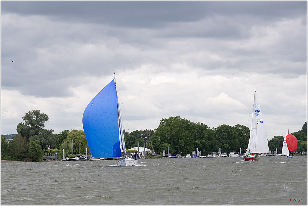 Rheinwoche 2025 1. Regattatag, 07.06.2025