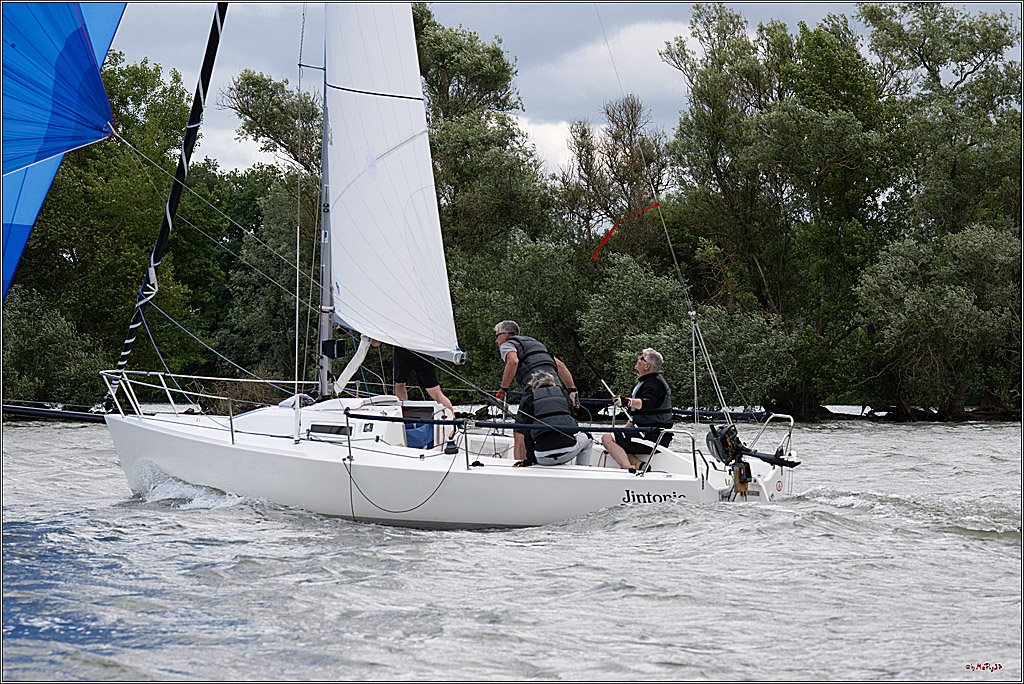 Rheinwoche 2025 1. Regattatag, 07.06.2025
