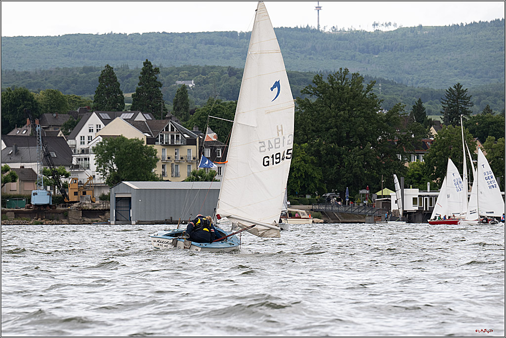 Rheinwoche 2025 1. Regattatag, 07.06.2025