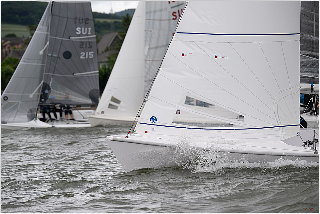 Rheinwoche 2025 1. Regattatag, 07.06.2025