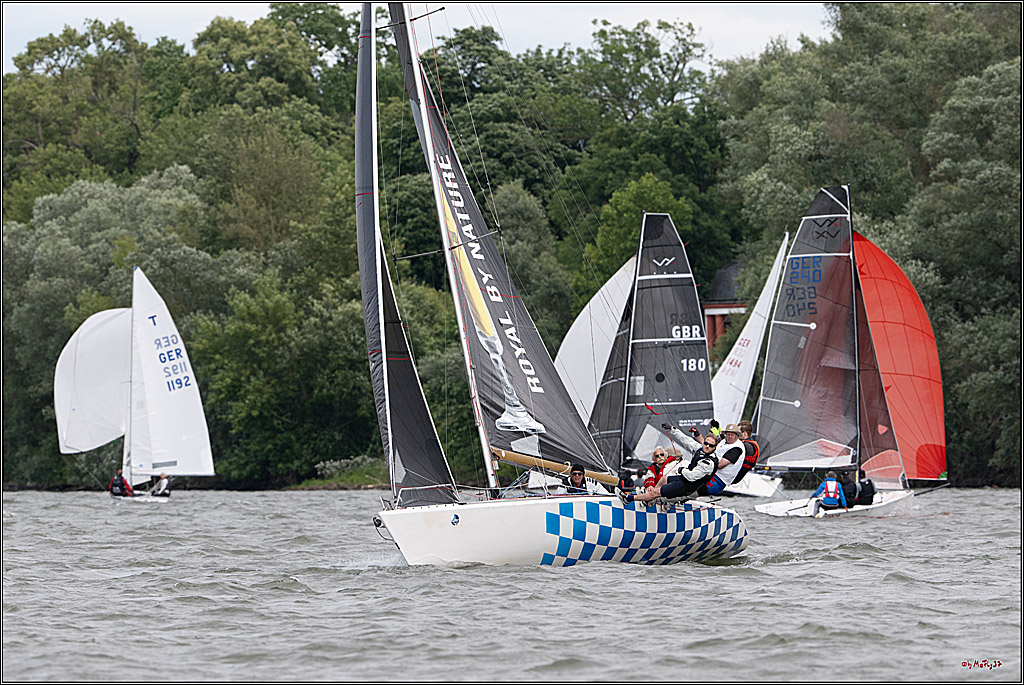 Rheinwoche 2025 1. Regattatag, 08.06.2025