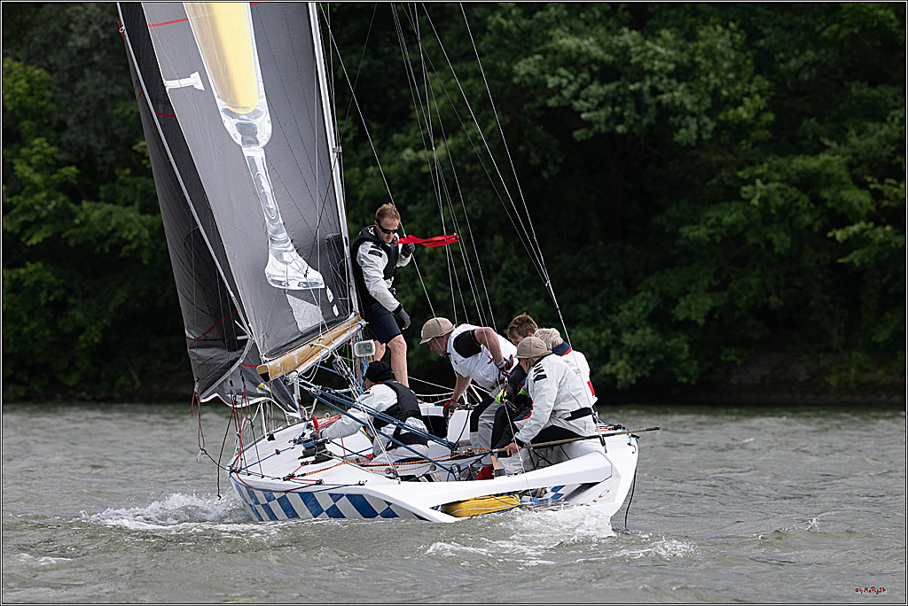 Rheinwoche 2025 1. Regattatag, 08.06.2025