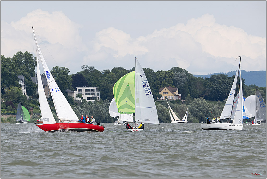Rheinwoche 2025 1. Regattatag, 08.06.2025
