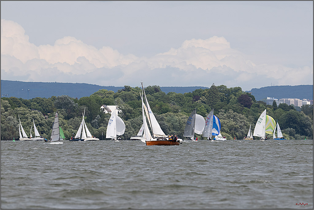Rheinwoche 2025 1. Regattatag, 08.06.2025