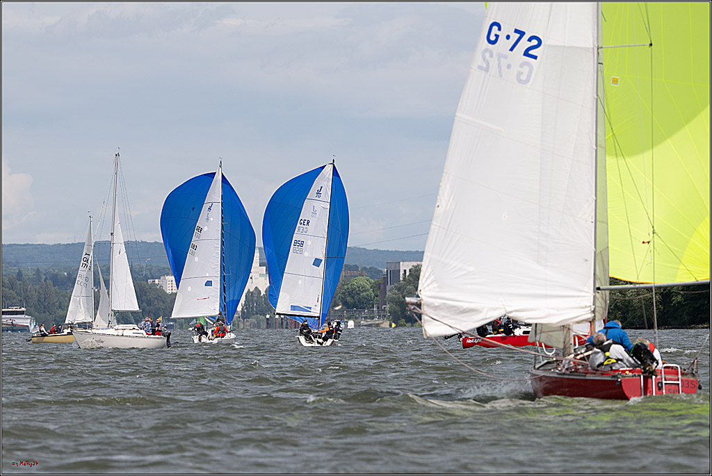 Rheinwoche 2025 1. Regattatag, 08.06.2025