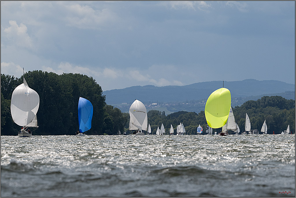 Rheinwoche 2025 1. Regattatag, 08.06.2025