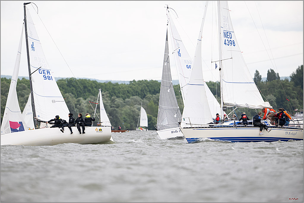 Rheinwoche 2025 1. Regattatag, 08.06.2025