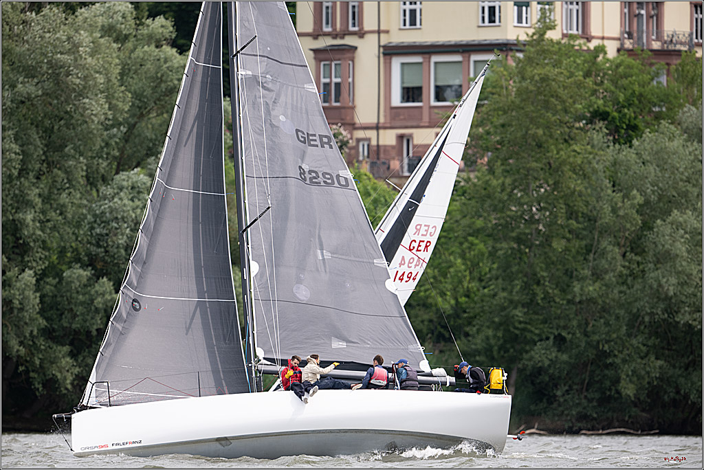 Rheinwoche 2025 1. Regattatag, 08.06.2025
