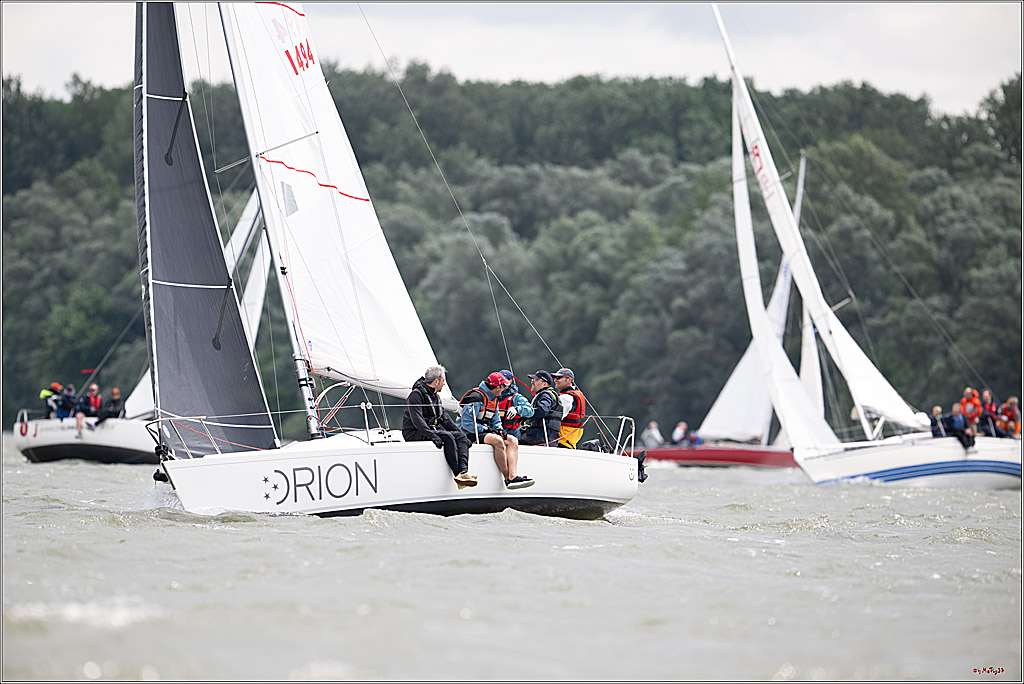 Rheinwoche 2025 1. Regattatag, 08.06.2025